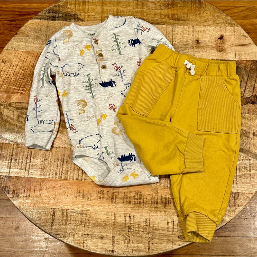 18 Months Carter’s Outfit